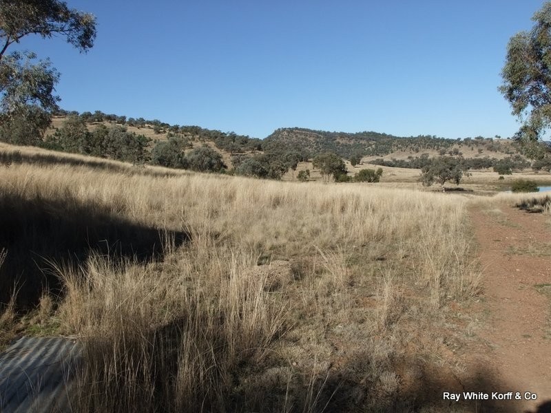 . LIMEROCK, Carroll NSW 2340