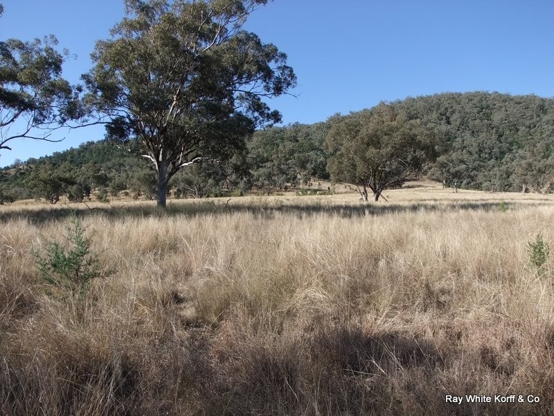 . LIMEROCK, Carroll NSW 2340