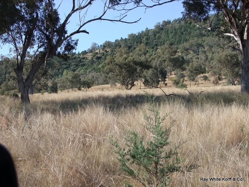 . LIMEROCK, Carroll NSW 2340