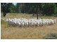 Gwabegar NSW 2356