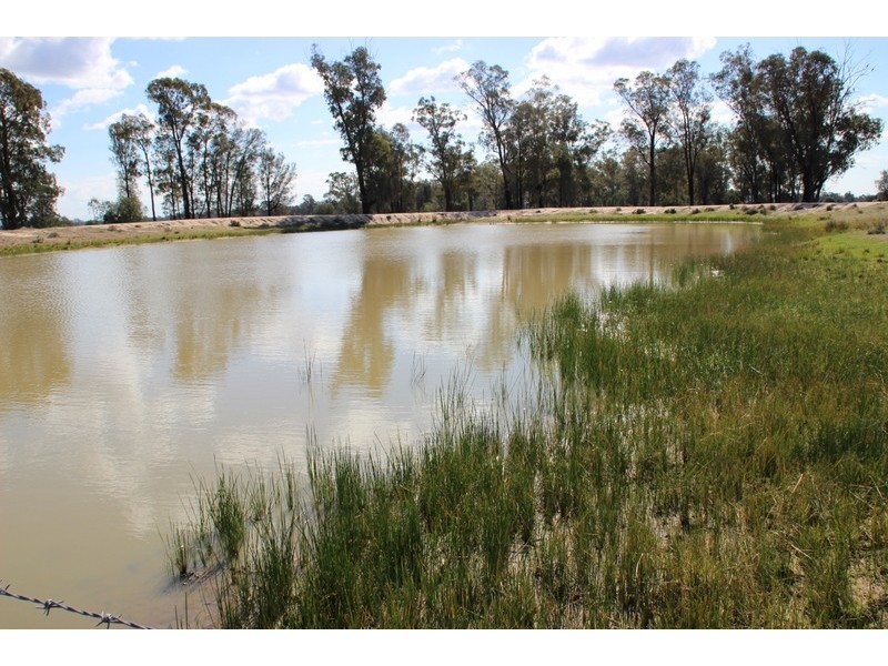 Gwabegar NSW 2356