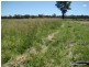 Gwabegar NSW 2356