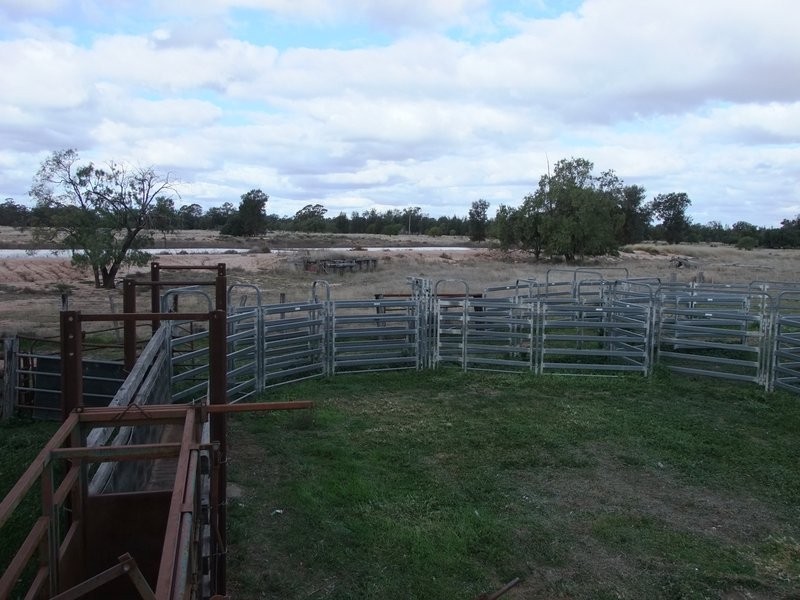 Gwabegar NSW 2356