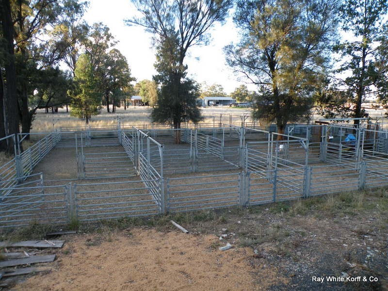Gwabegar NSW 2356