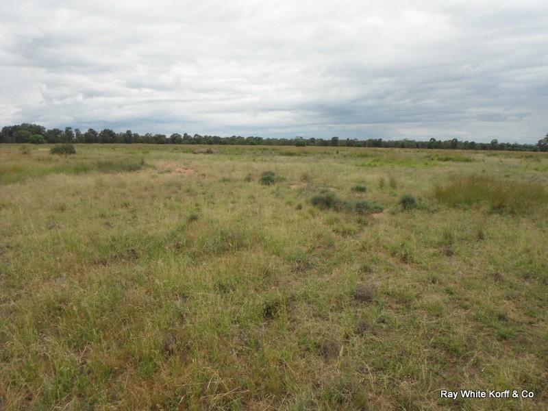Gwabegar NSW 2356