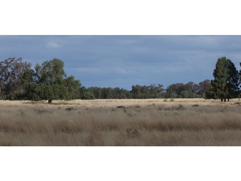 Gwabegar NSW 2356
