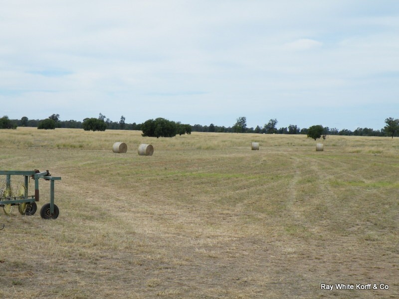 Gwabegar NSW 2356