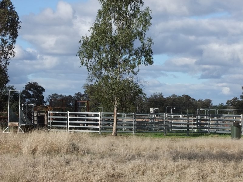 Gwabegar NSW 2356