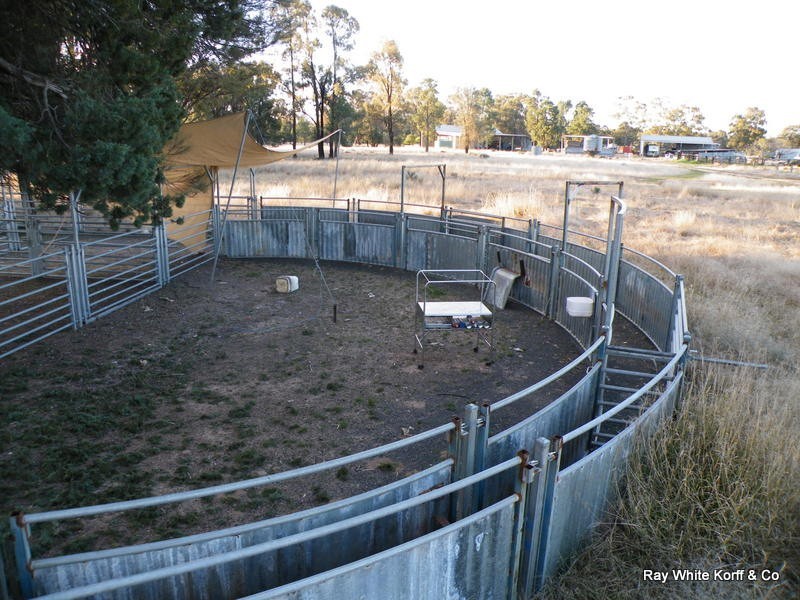 Gwabegar NSW 2356