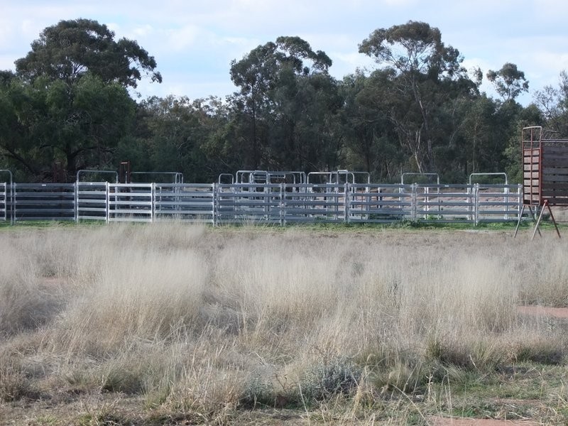 Gwabegar NSW 2356