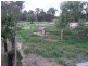 Gwabegar NSW 2356