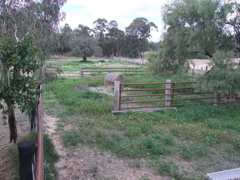 Gwabegar NSW 2356