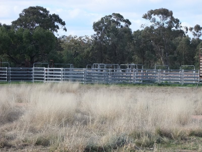 Gwabegar NSW 2356