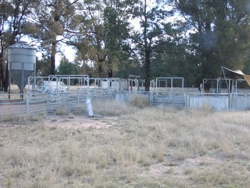 Gwabegar NSW 2356