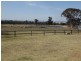 140 Boxridge Road, Binnaway NSW 2395
