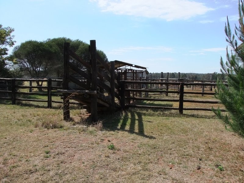 140 Boxridge Road, Binnaway NSW 2395