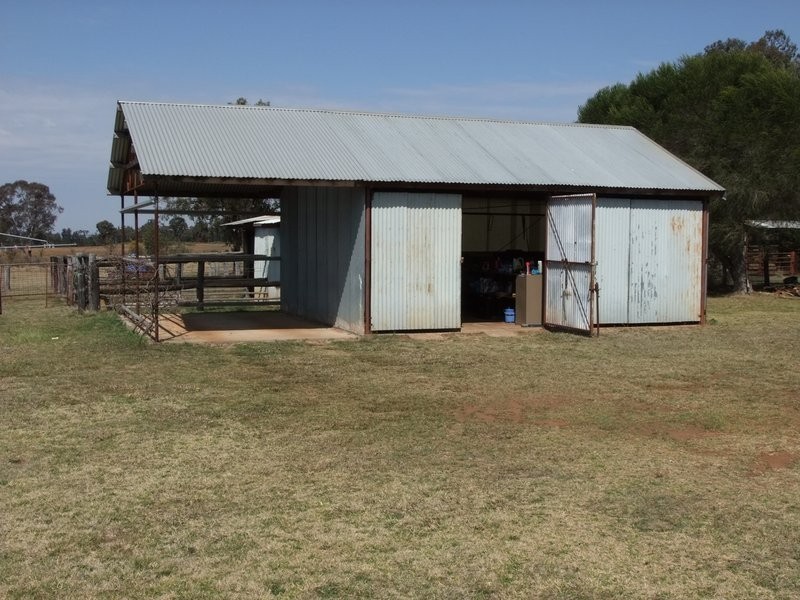 140 Boxridge Road, Binnaway NSW 2395