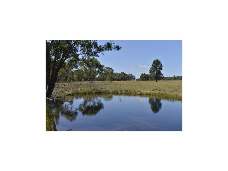 Coonabarabran NSW 2357