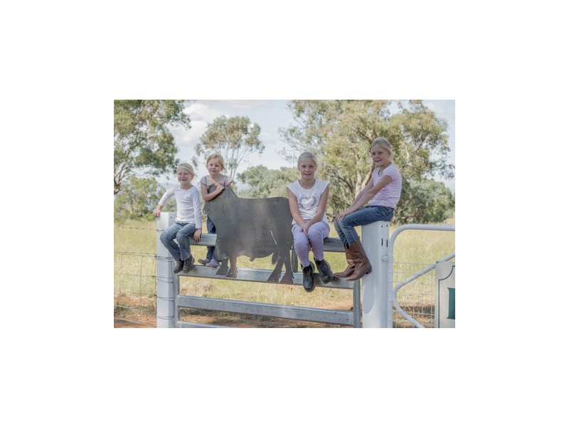 Coonabarabran NSW 2357