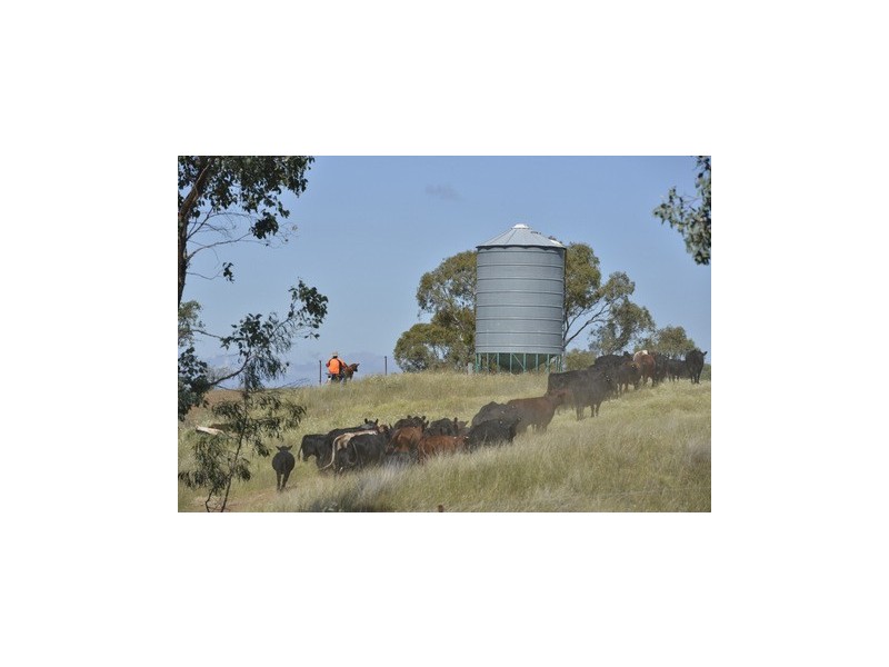 Coonabarabran NSW 2357