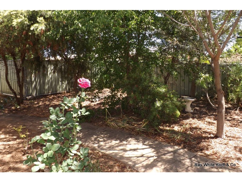 67a Timor Street, Coonabarabran NSW 2357