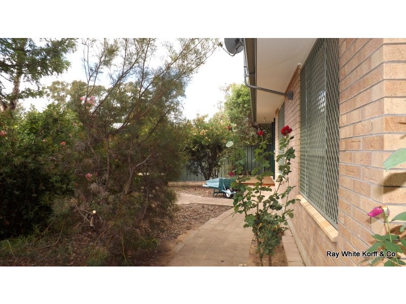 67a Timor Street, Coonabarabran NSW 2357