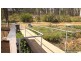 LOT 55 TIMOR ROAD, Coonabarabran NSW 2357