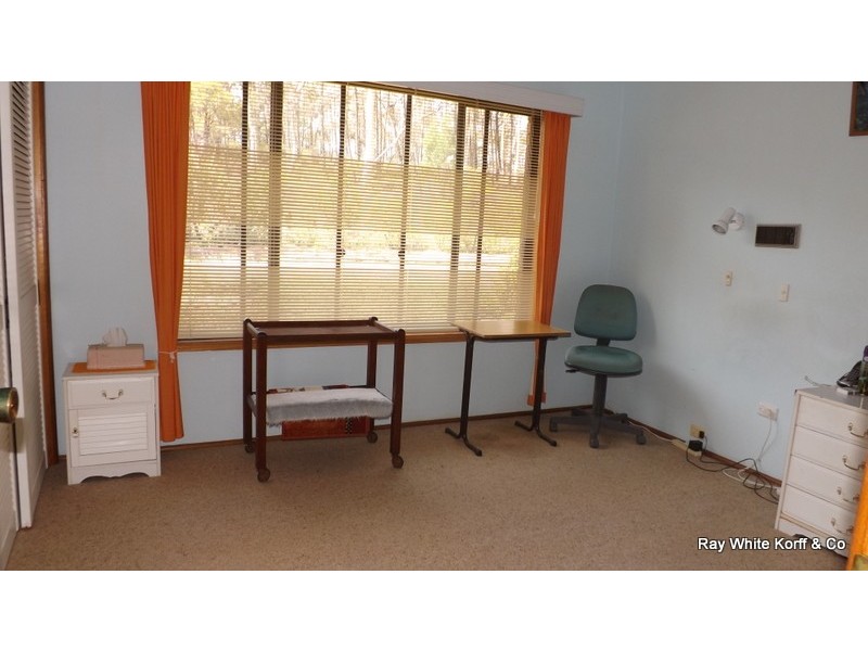 LOT 55 TIMOR ROAD, Coonabarabran NSW 2357