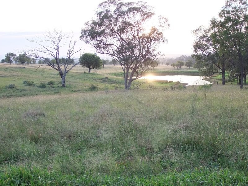 * ‘MURRUMBONG’, Purlewaugh NSW 2357