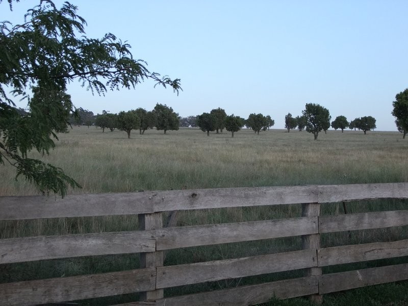 * ‘MURRUMBONG’, Purlewaugh NSW 2357