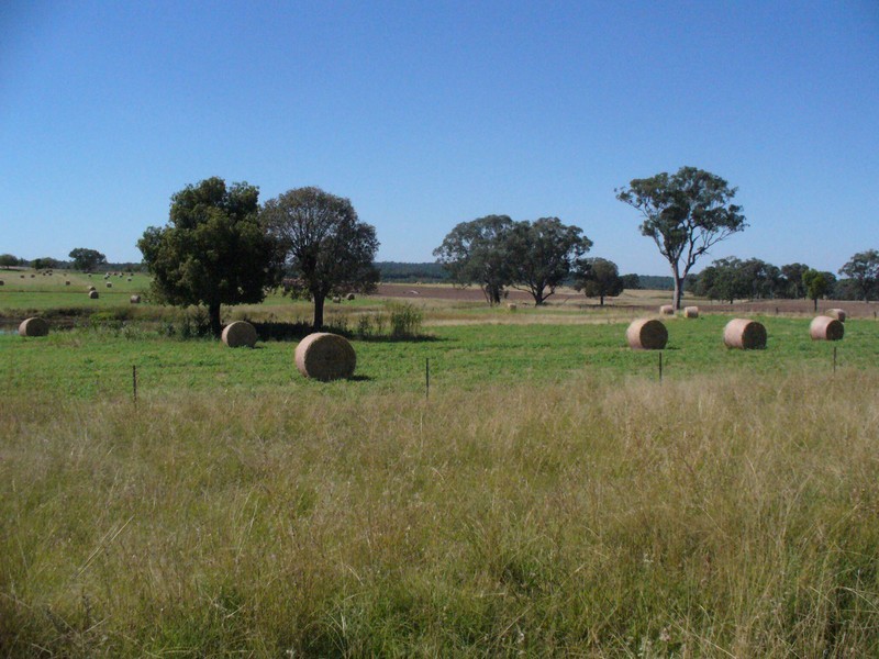 * ‘MURRUMBONG’, Purlewaugh NSW 2357