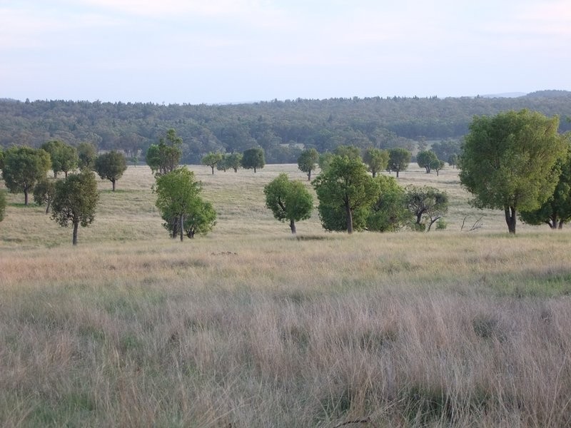 * ‘MURRUMBONG’, Purlewaugh NSW 2357