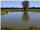 Purlewaugh NSW 2357