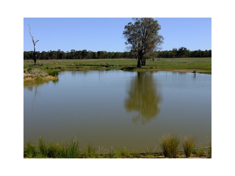 Purlewaugh NSW 2357