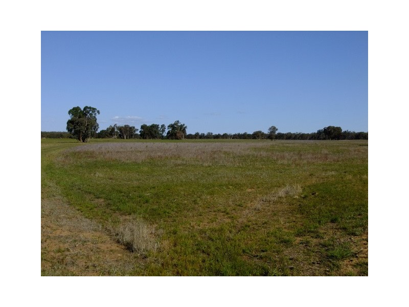 Purlewaugh NSW 2357