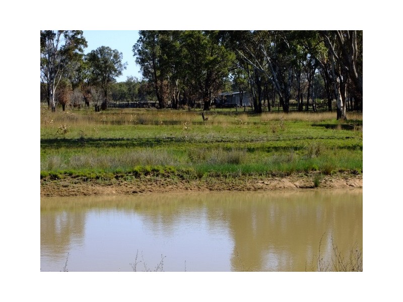 Purlewaugh NSW 2357