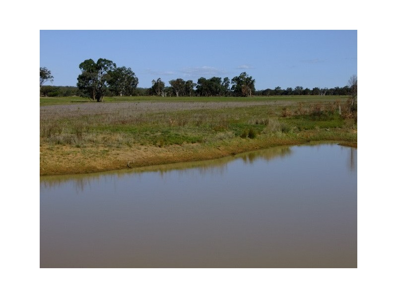 Purlewaugh NSW 2357