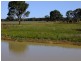 Purlewaugh NSW 2357