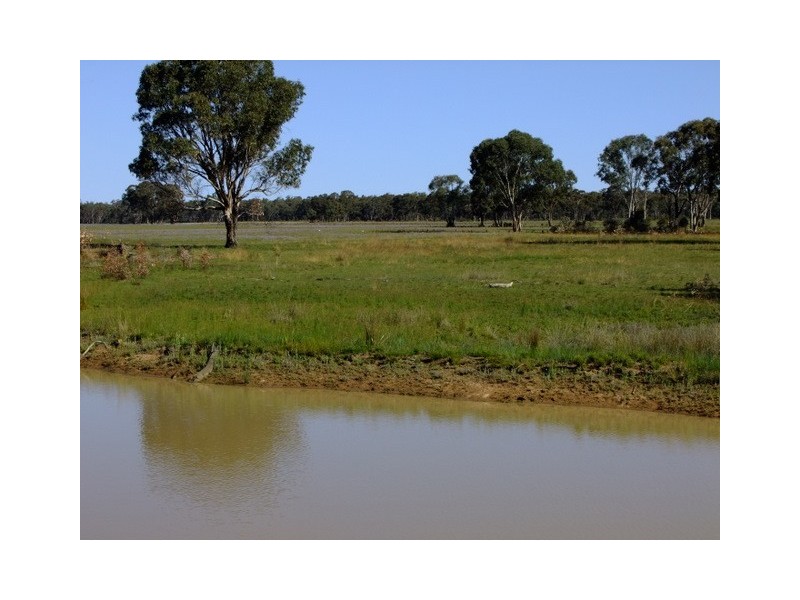 Purlewaugh NSW 2357