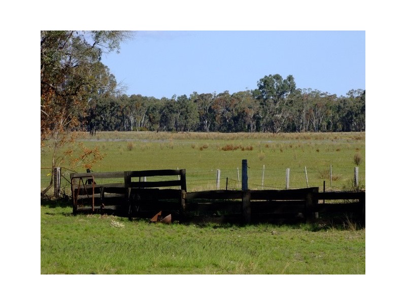 Purlewaugh NSW 2357
