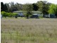 Purlewaugh NSW 2357