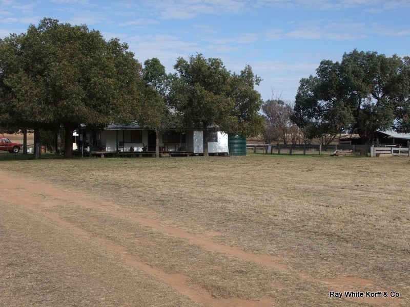 Baradine NSW 2396