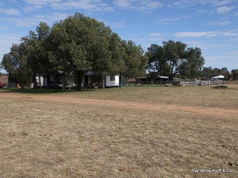 Baradine NSW 2396