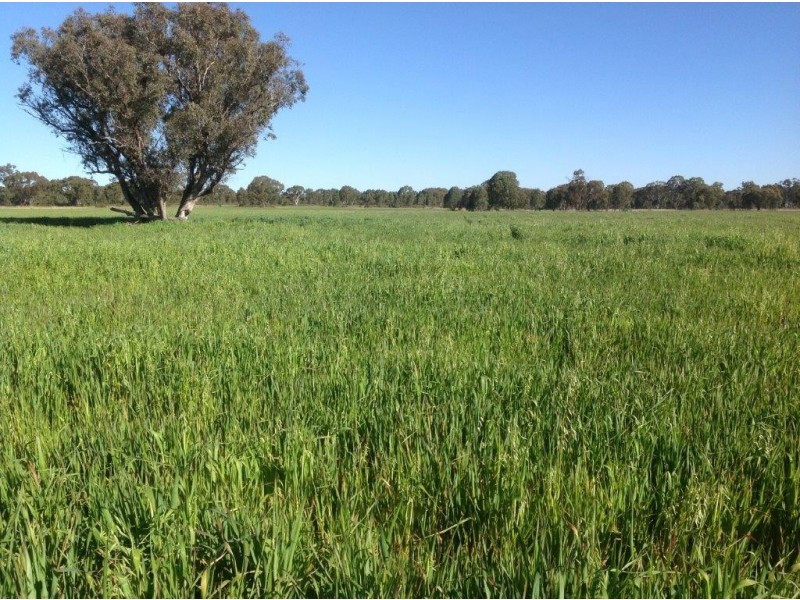 Lot 4 North Pine Creek, Coonabarabran NSW 2357