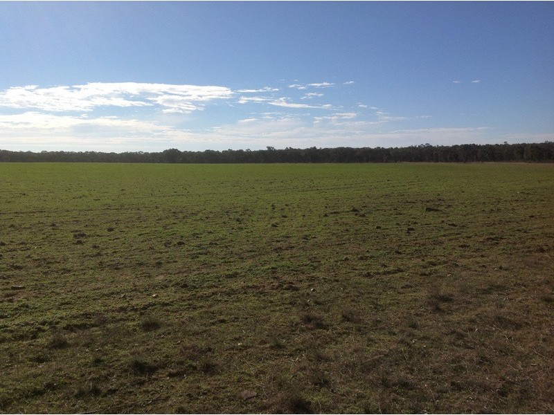 Lot 4 North Pine Creek, Coonabarabran NSW 2357