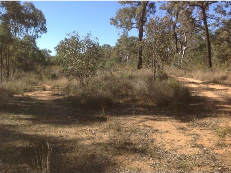 Lot 4 North Pine Creek, Coonabarabran NSW 2357