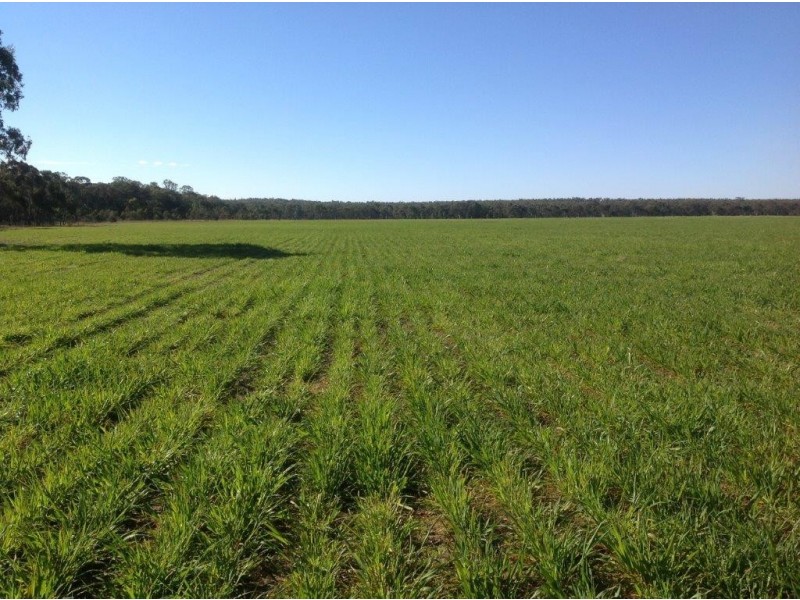Lot 4 North Pine Creek, Coonabarabran NSW 2357