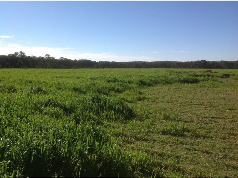 Lot 4 North Pine Creek, Coonabarabran NSW 2357