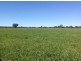 Lot 4 North Pine Creek, Coonabarabran NSW 2357