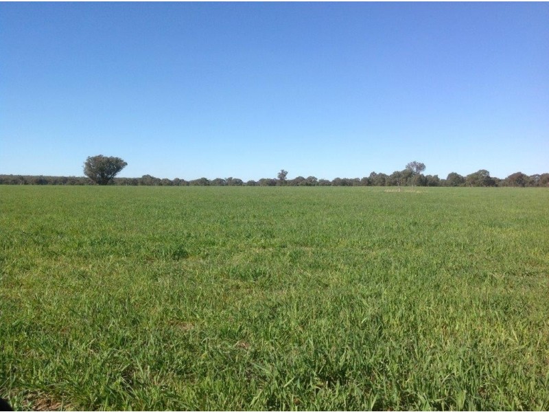 Lot 4 North Pine Creek, Coonabarabran NSW 2357